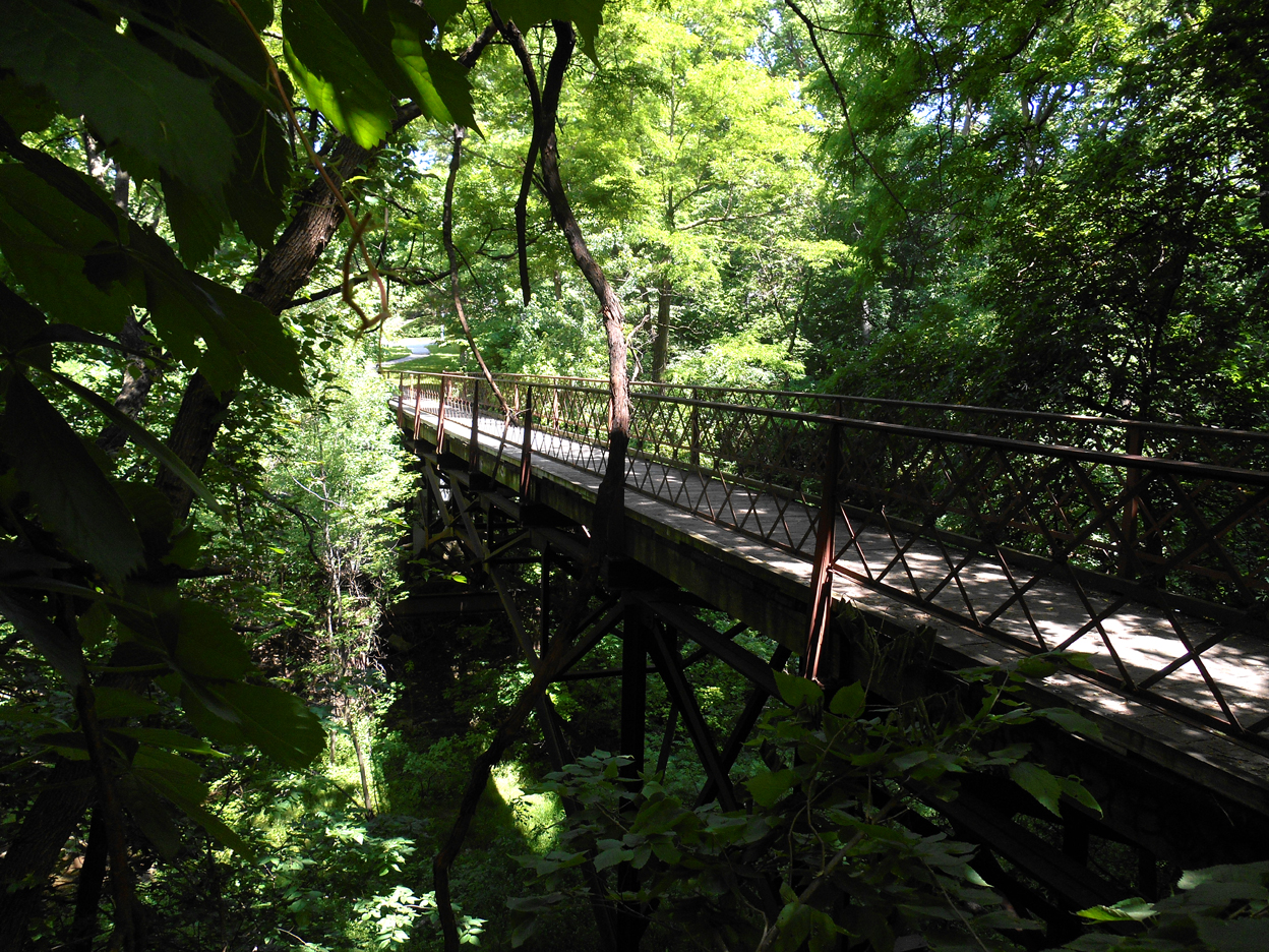 joneswalklookingnetrusses