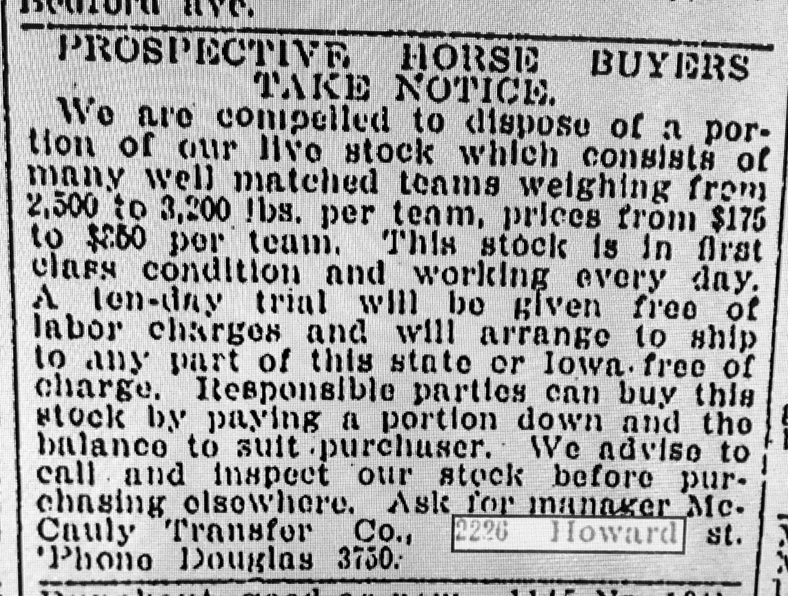 prospectivehorsebuyers