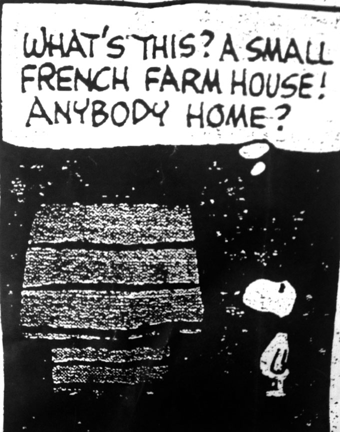 Snoopy Farmhouse